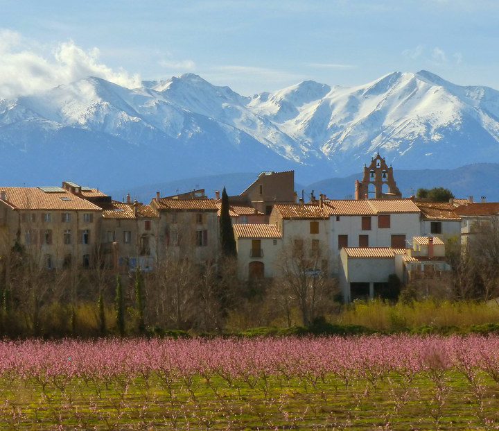 4, 5 i 6 d'Octubre. Pujada al Canigó.